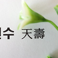 '건강할때 예방건강은 ' 글에 포함된 이미지