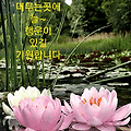 '부처님의 자비광명이 ' 글에 포함된 이미지