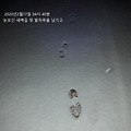 '눈맞이 새벽맞이 기분' 글에 포함된 이미지