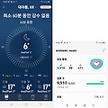 '어느덧 봄기운 완연한' 글에 포함된 이미지