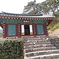 '나무관세음보살 나무' 글에 포함된 이미지
