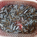 '한주 힘차게 시작 합' 글에 포함된 이미지