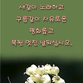 댓글 첨부 이미지