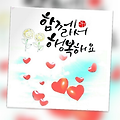 댓글 첨부 이미지
