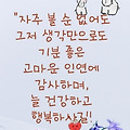 댓글 첨부 이미지