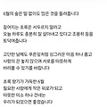 댓글 첨부 이미지