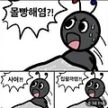 댓글 첨부 이미지