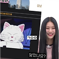 댓글 첨부 이미지