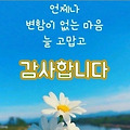 댓글 첨부 이미지