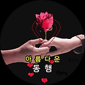 댓글 첨부 이미지