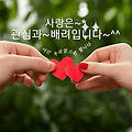 댓글 첨부 이미지
