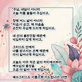 댓글 첨부 이미지