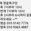 댓글 첨부 이미지