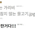 댓글 첨부 이미지