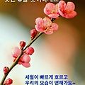 '성공한 삶을 보면 그' 글에 포함된 이미지