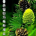 '봄을 시샘하는 바람결' 글에 포함된 이미지