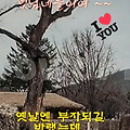 '꽃샘추위가 심술을 부' 글에 포함된 이미지
