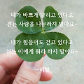 '내가 바쁘게 달리고 ' 글에 포함된 이미지