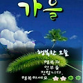 '아름다운 가을날처럼 ' 글에 포함된 이미지