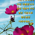 '추석 이후 쌀쌀해진 ' 글에 포함된 이미지