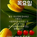 댓글 첨부 이미지