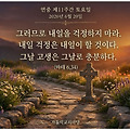 댓글 첨부 이미지