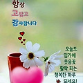 댓글 첨부 이미지