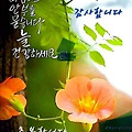 댓글 첨부 이미지