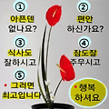 댓글 첨부 이미지