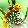 댓글 첨부 이미지