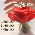 댓글 첨부 이미지