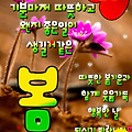 댓글 첨부 이미지