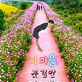 '아름다운 계절이 왔는' 글에 포함된 이미지