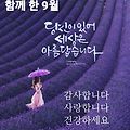 댓글 첨부 이미지