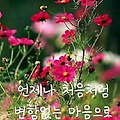 '봐요~저기서 가을이 ' 글에 포함된 이미지