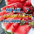 댓글 첨부 이미지