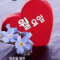 댓글 첨부 이미지