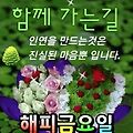 '오늘은 장마가 소강상' 글에 포함된 이미지