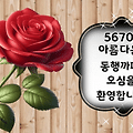 댓글 첨부 이미지