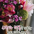 댓글 첨부 이미지
