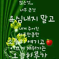 댓글 첨부 이미지