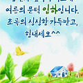 댓글 첨부 이미지