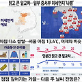 '상세히 살펴보면 작년' 글에 포함된 이미지