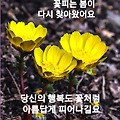 '오랫만에 인사 드립니' 글에 포함된 이미지