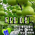 '아침은 시원한데 낮엔' 글에 포함된 이미지