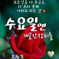 댓글 첨부 이미지