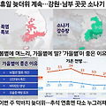 '일요일인 오늘은 늦더' 글에 포함된 이미지