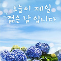 댓글 첨부 이미지