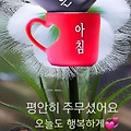 '오늘 하루도 평안 하' 글에 포함된 이미지