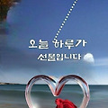 '출석 합니다.' 글에 포함된 이미지